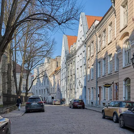 Apartament Spacious Old Town With Sauna